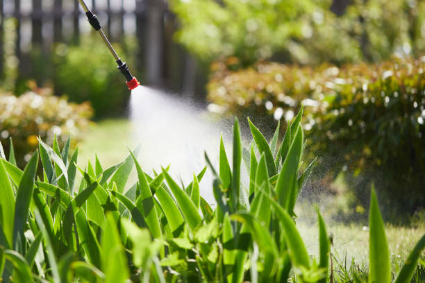 Tamper-Resistant Bait Stations for Rodents in Cambridge Springs