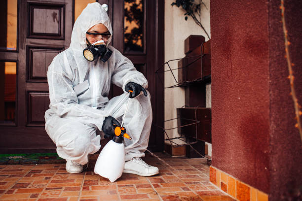 Attic and Crawl Space Rodent Treatment in Cambridge Springs