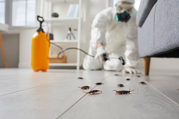 Commercial Rodent Management in Cambridge Springs